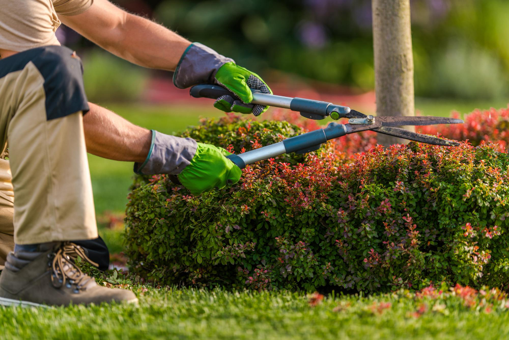 gardening services northern Melbourne